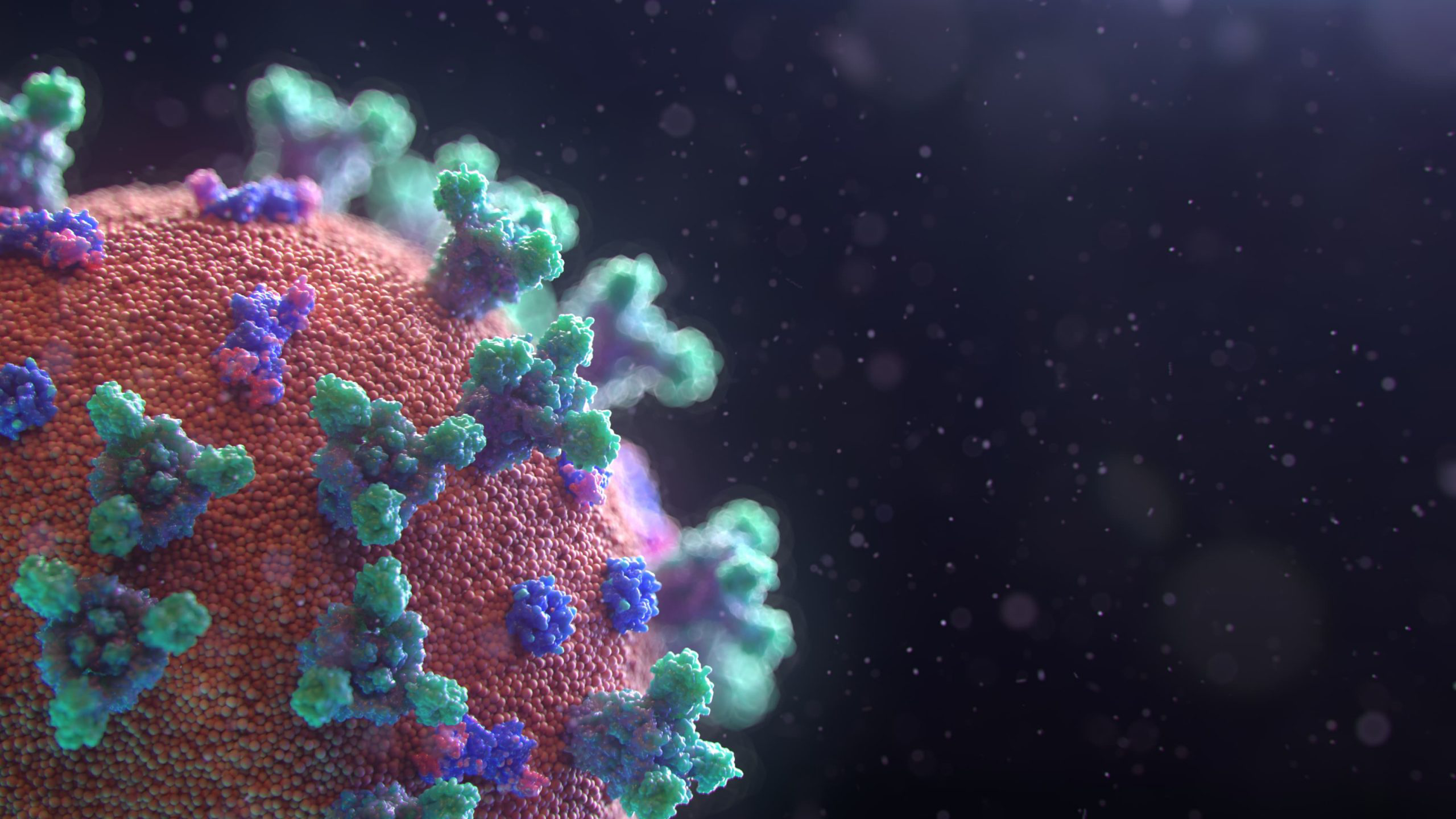 2ª EDICION NACIONAL INTERVENCIONES EN PRESENCIA DE RIESGOS BIOLOGICOS: VIRUS SARS-CoV-2